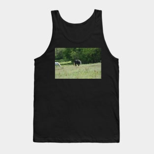 Wild Horse Tank Top